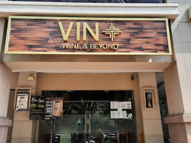 Vin+ GSA (CP)