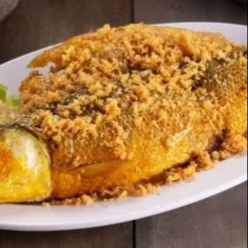 WR PECEL LELE LAMONGAN MAS AHMAD