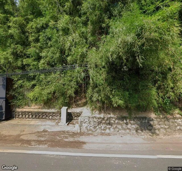 Bamboo Property