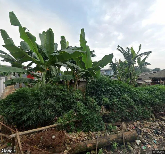 Pecel Ayam & Pempek Abil