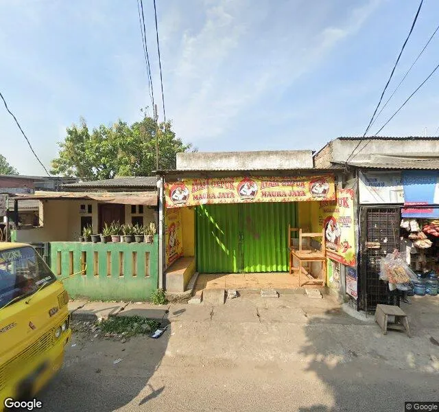 AYAM GEPUK MAURA JAYA