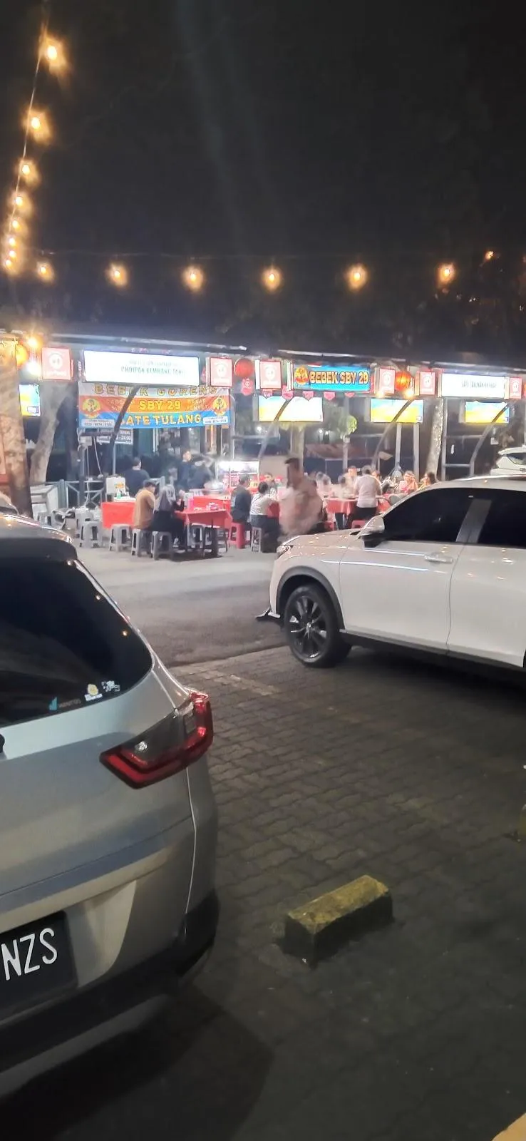 Bebek SBY 29, Sate Tulang