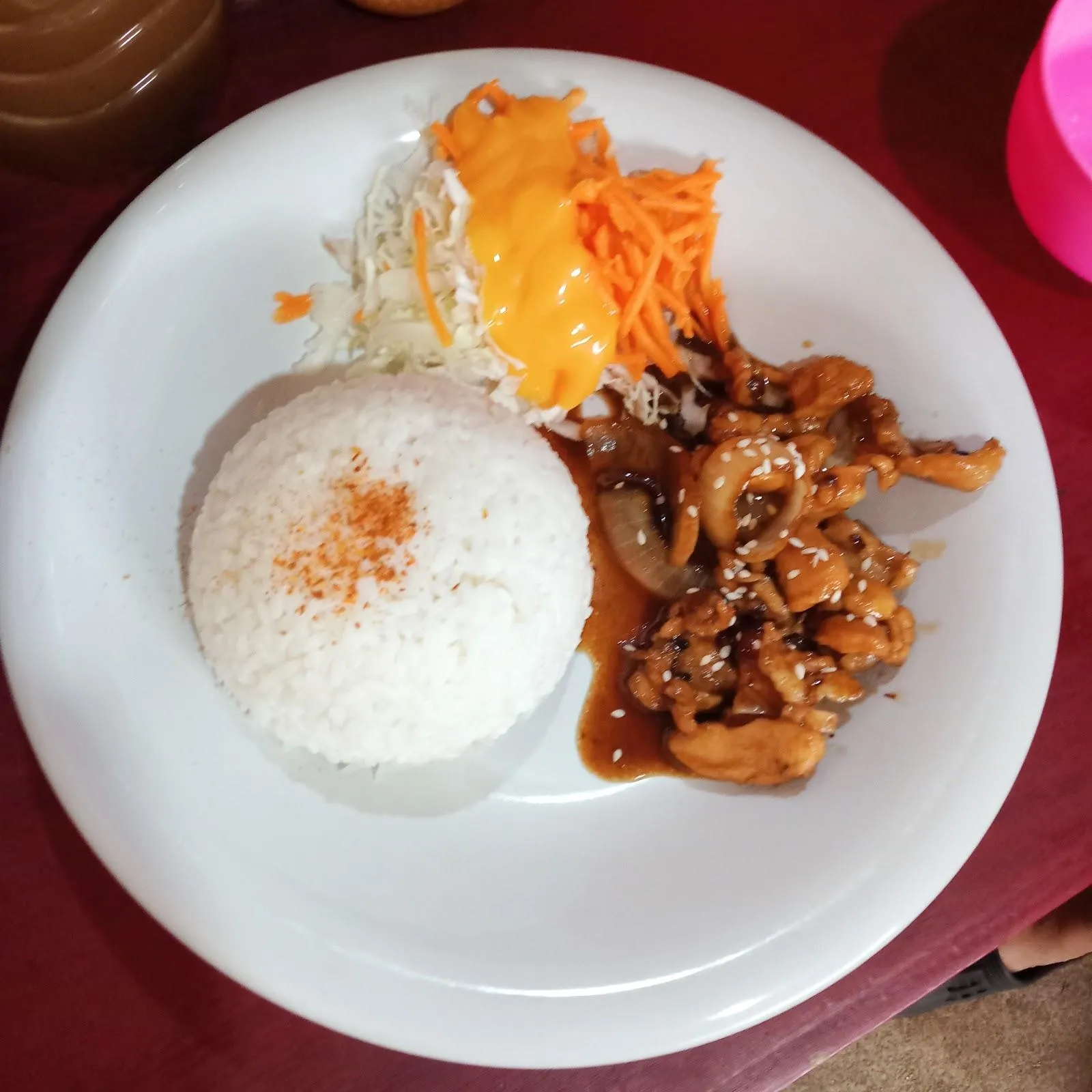 Panko katshu & teriyaki