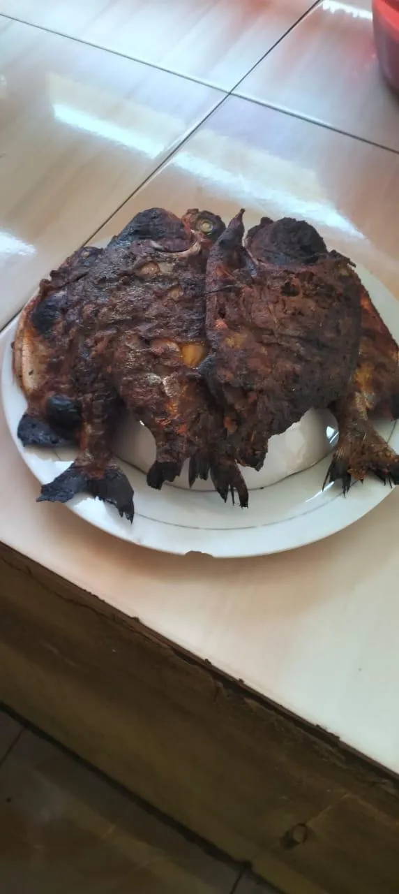 Rumah makan padang ajo
