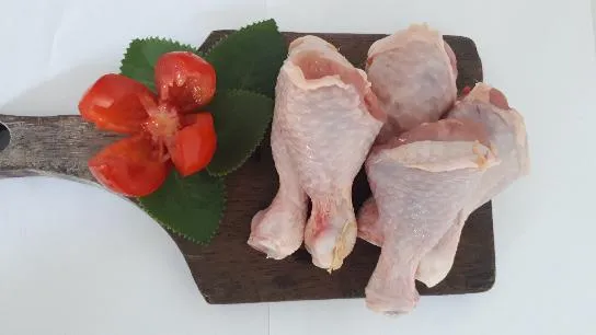 Turbo chicken supplier ayam