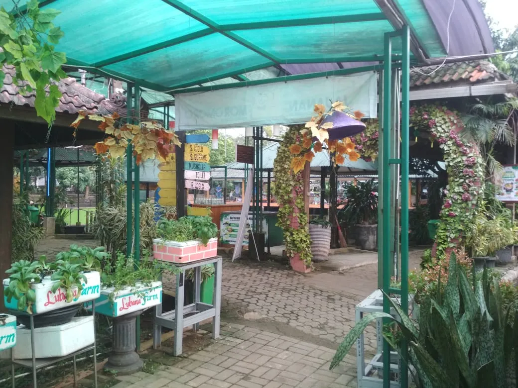 Kopi Febs Indonesia