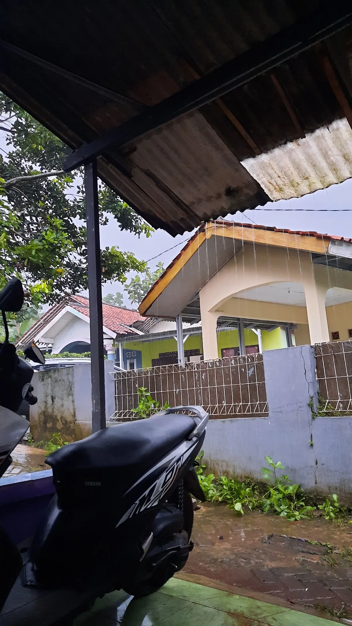 Kafe Bang Ali