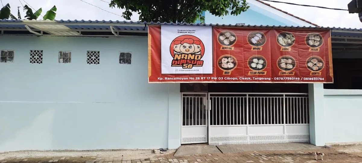 Nano DimSum 58