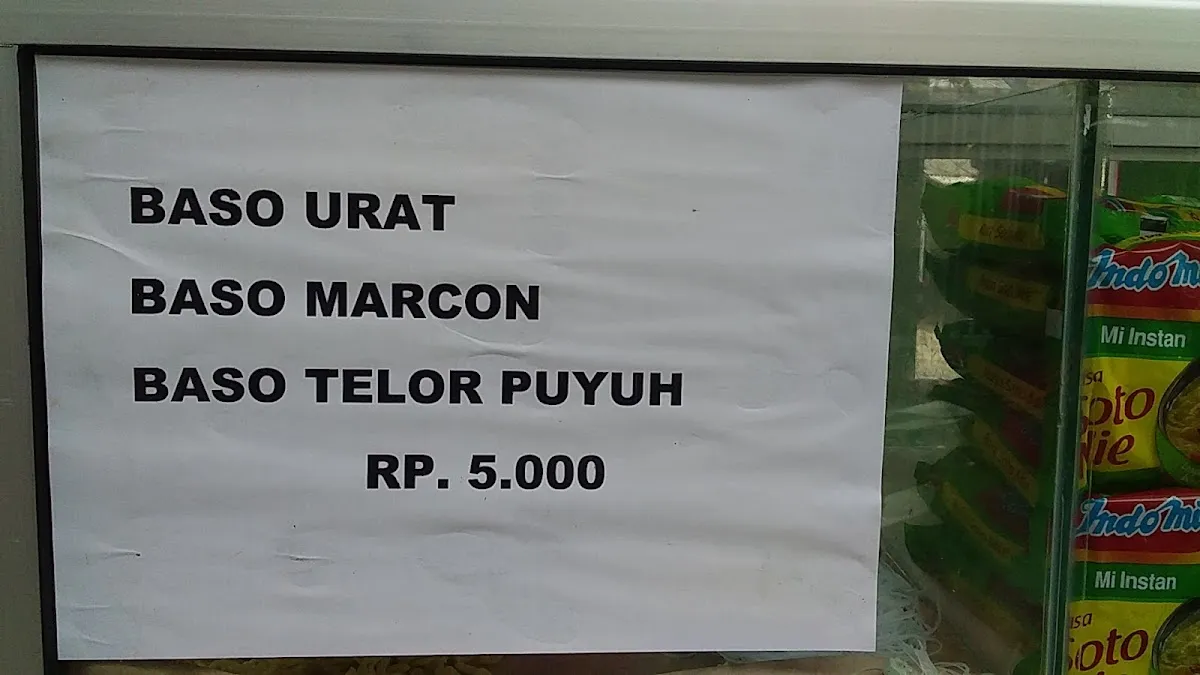 BASO MERCON 1.5 RP 5000